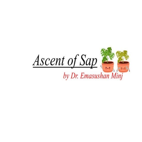 Ascent of sap (plant physiology)