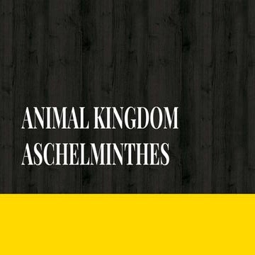 Aschelminthes