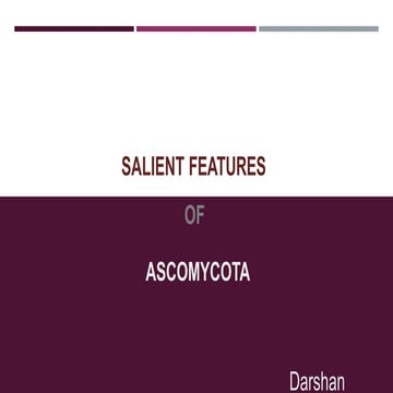 Ascomycota salient features