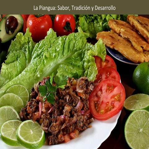 Asconar presentación 