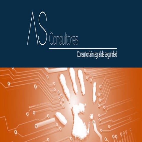 As consultores seguridad pdf