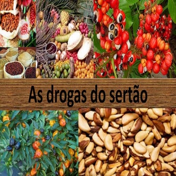 Drogas do sertão