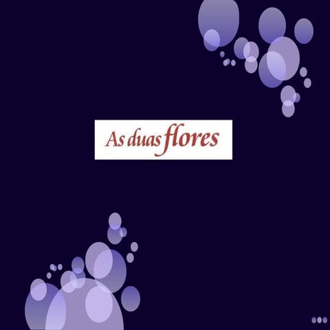 As duas flores - Bianca e Phillipe