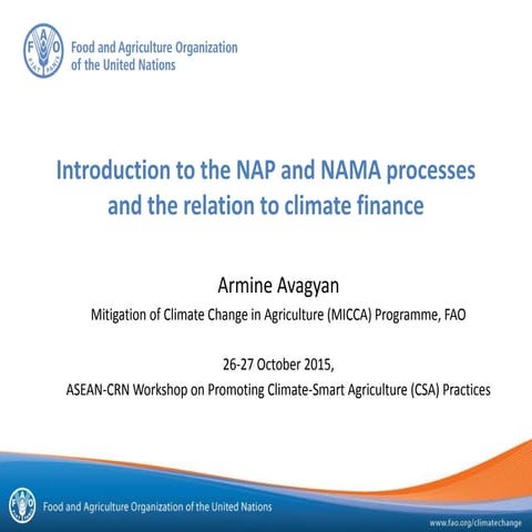 Introduction to the NAP and NAMA processes and the relation to climate finance