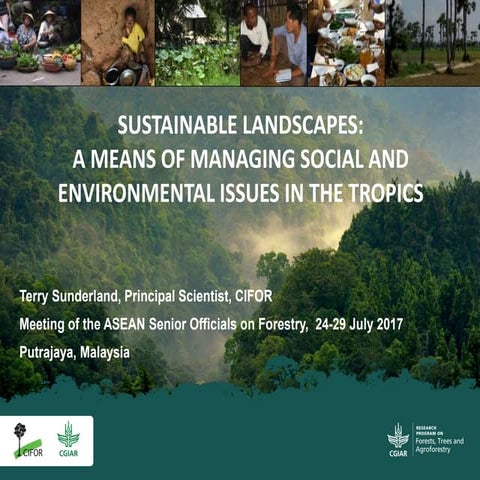 Sustainable landscapes: A means of managing social and environmental issues i...