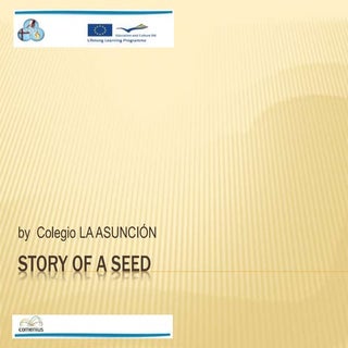 A seed story (result)