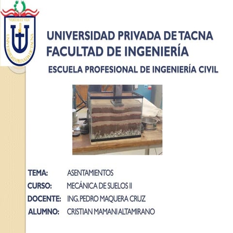 Asentamientos de suelos 