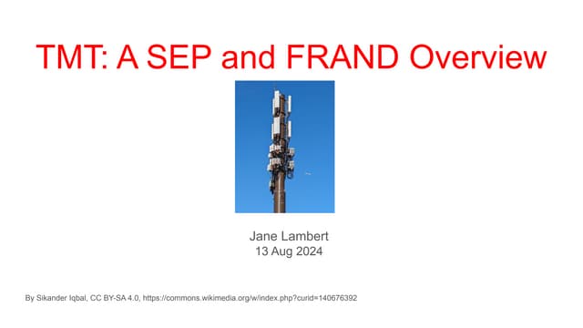 A SEP and FRAND Overview 13 Aug 2024.pdf