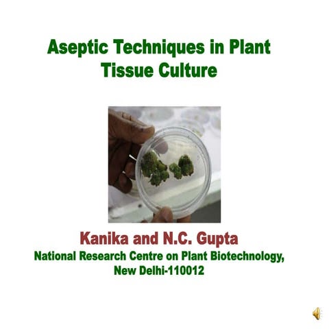 Aseptic techniques in  plant tissue culture
