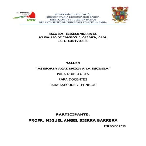 Asesoria academica a la escuela (miguel)