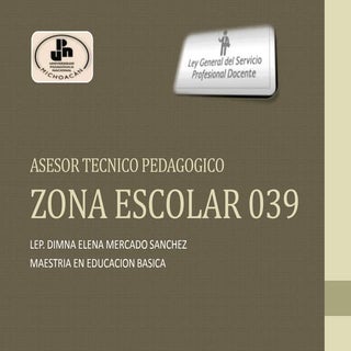 Asesor tecnico pedagogico 039