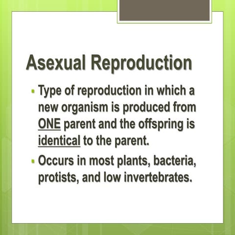 Asexual vs Sexual Reproduction PowerPoint.pptx