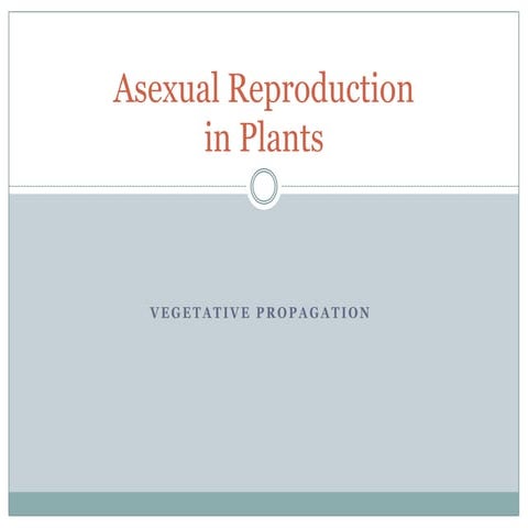 Asexual reproduction of a flowering plant