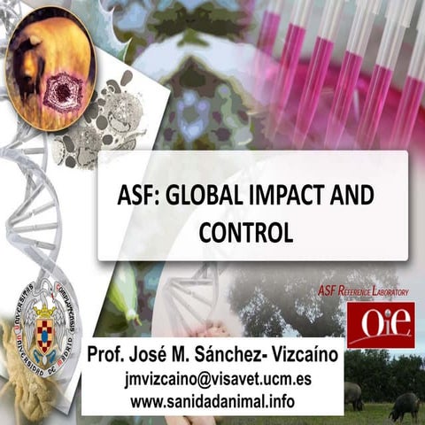 ASF global impact and control