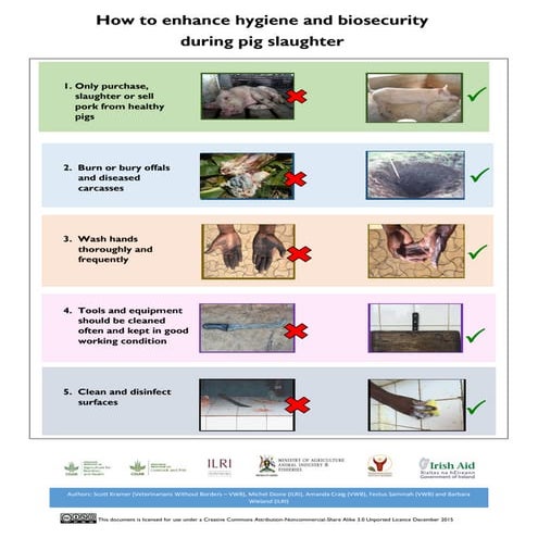How to enhance hygiene and biosecurity during pig slaughter | PDF