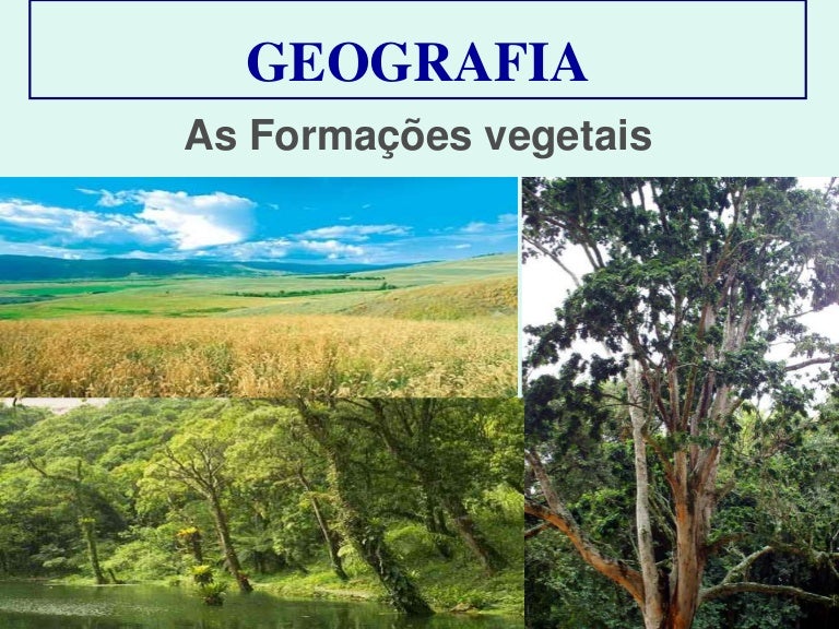 As formaçoes vegetais pelo mundo As formaçoes vegetais pelo mundo