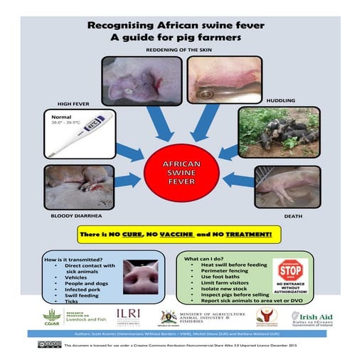 Recognising African swine fever: A guide for pig farmers