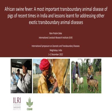 African swine fever: A most important transboundary animal disease of pigs of...