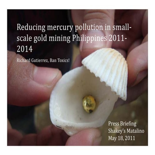 Reducing Mercury Pollution in Small-Scale Gold Mining Philippines 2011 ...