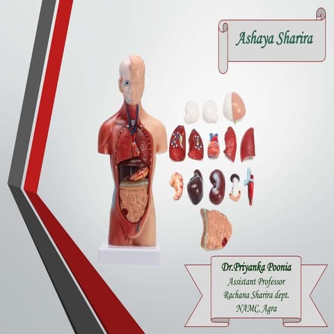 Ashaya sharira.pptx