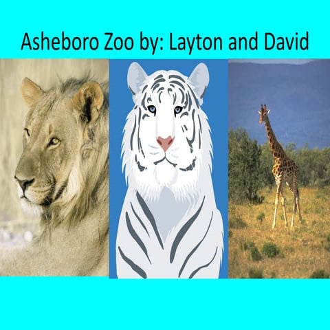 Asheboro zoo by