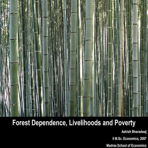 Forest Dependence, Livelihoods and Poverty - Class Assigment | PDF