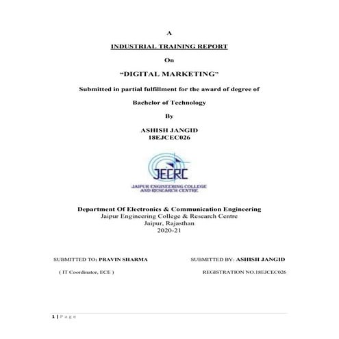 DIGITAL MARKETING REPORT