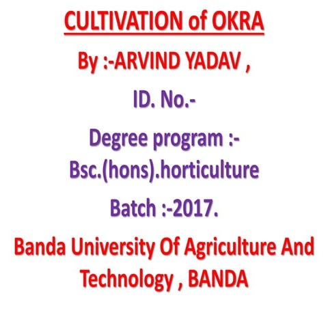 CULTIVATION OF OKRA , PRODUCTION TECHNOLOGY OF OKRA ,