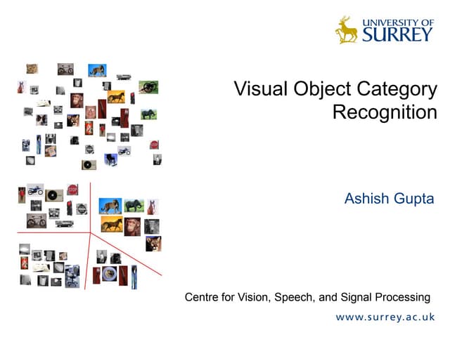 Visual Object Category Recognition Ppt Visual Object Category Recognition Ppt