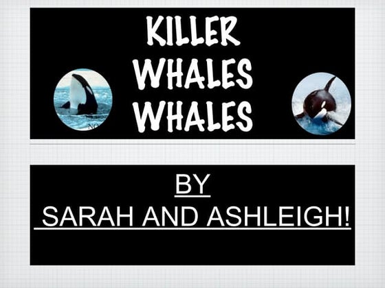 Ashleigh and Sarah's Killer Whale