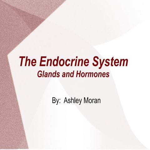 The Endocrine System