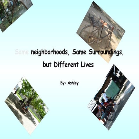 Ashley's Tea Shop Photo Essay