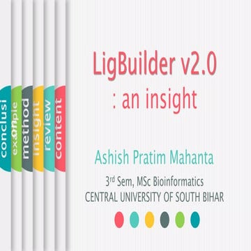 Ligbuilder V2: overview and tutorial.