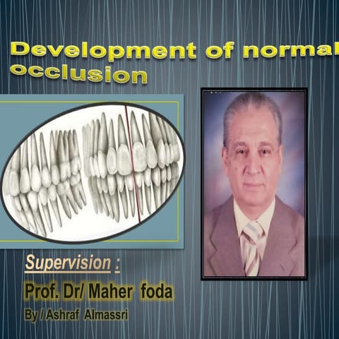 development of normal occlusion