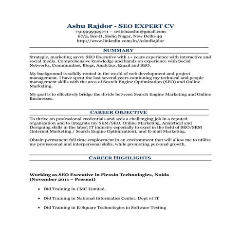 Ashu Rajdor seo_resume