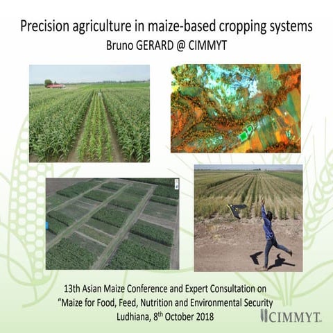 Precision agriculture in maize-based cropping systems