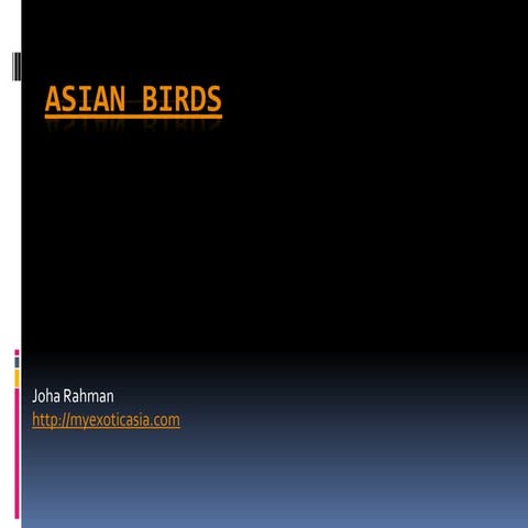 Asian birds
