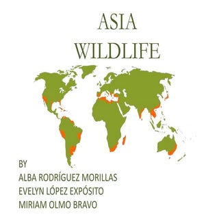 Asia wildlife