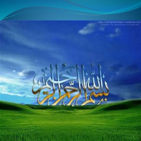 Female Reproductive System 