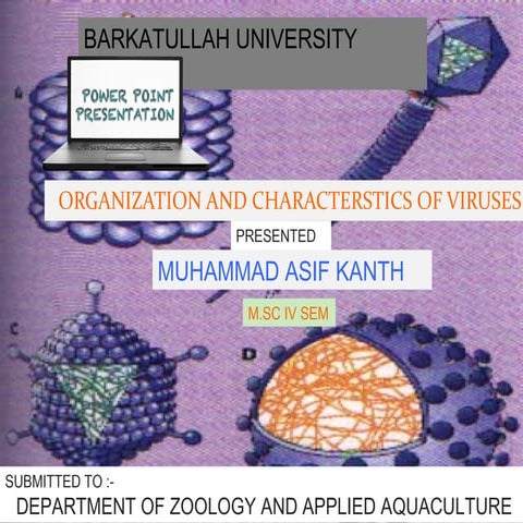 general organization and characterstics of virus
