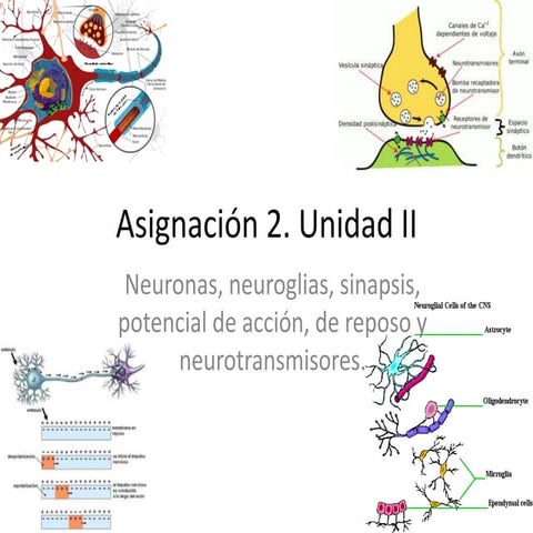 Asignación 2. unidad ii dibujos