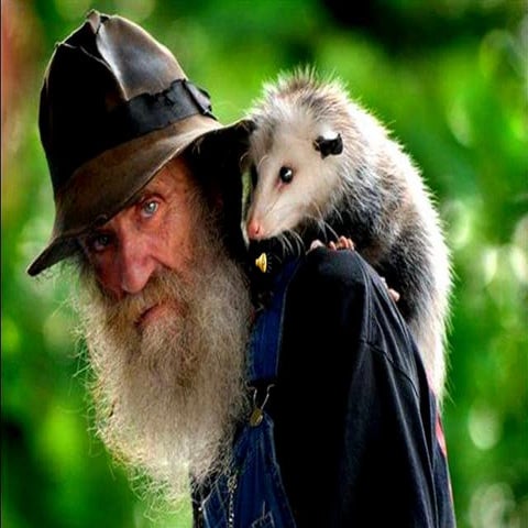 A sincere love for animals | PPSX
