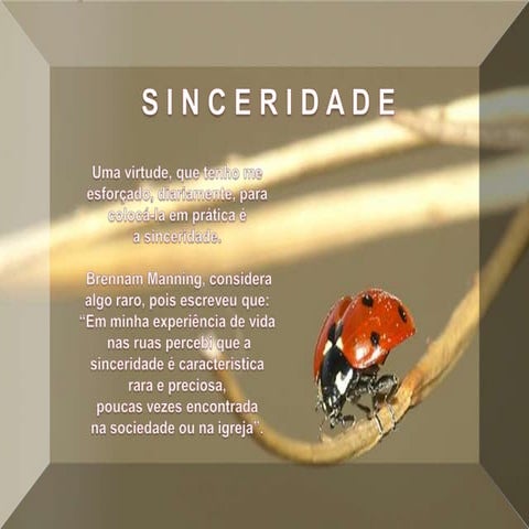 A sinceridade | PPSX