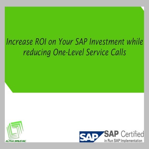 SAP ROI