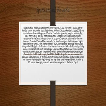 shahroz and owais sports presentation