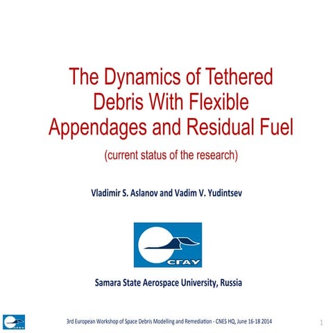 The Dynamics of Tethered Debris With Flexible Appendages and Residual Fuel