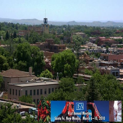 American Society for Neurochemistry Meeting Santa Fe, NM Presentation