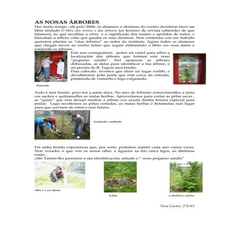 As nosas árbores 2007  2008