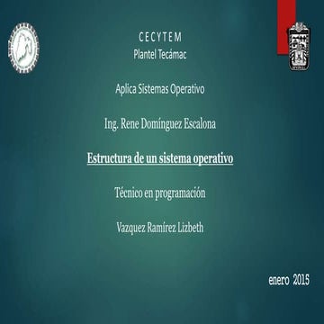 dsi training | PDF