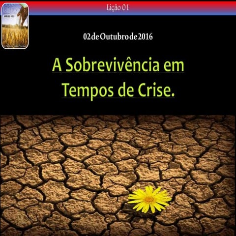A Sobrevivencia Em Tempos de Crise | PPTX